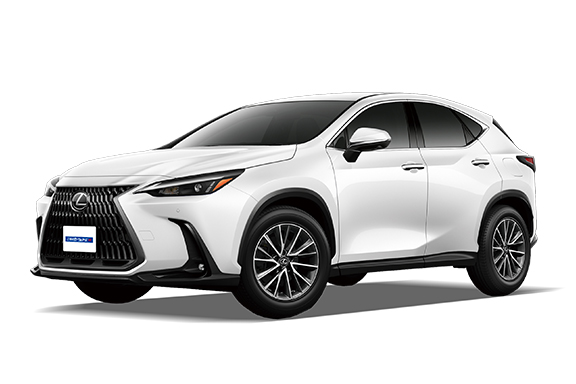 新型ＮＸ　ＨＥＶ（灰）３Ｂ階７３番